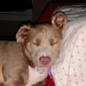 Meet your Posher, Michele